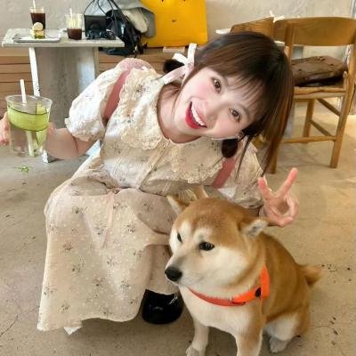 如果历史是一群喵第四季